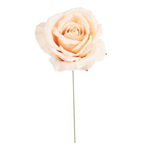 PICK ROSA JULIET IVORY D10 H21